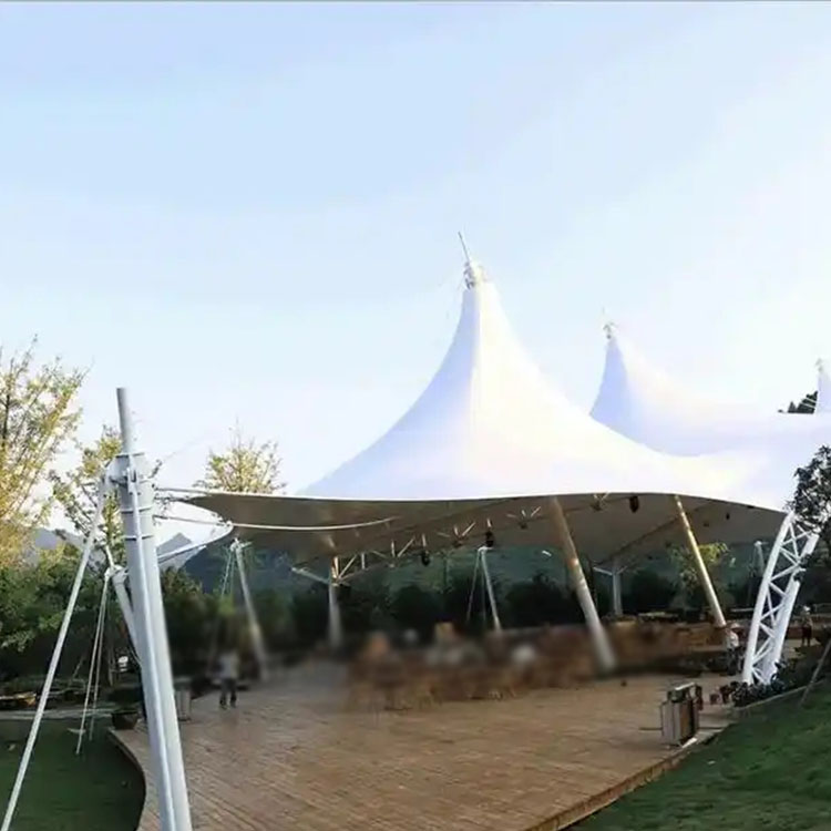 太和县膜结构景观棚